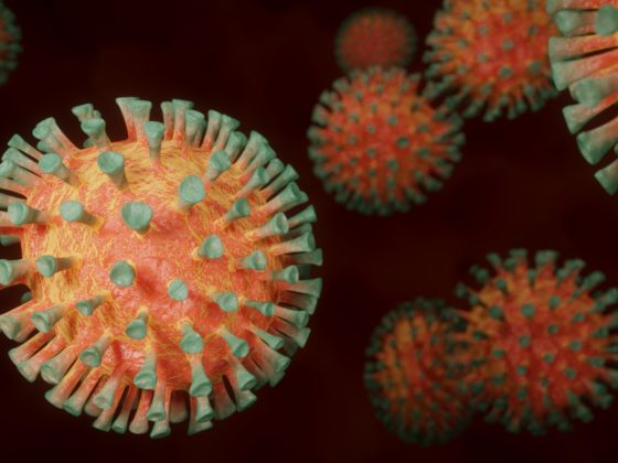 pixabay_coronavirus